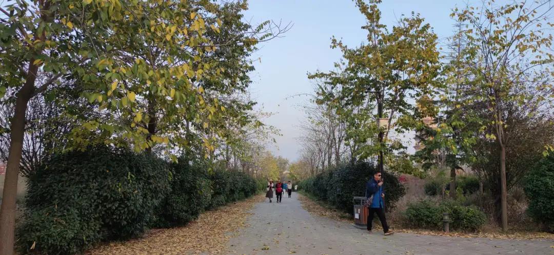 1605251148518473.jpg 1605251148518473.jpg